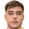 Aaron-Anselmino